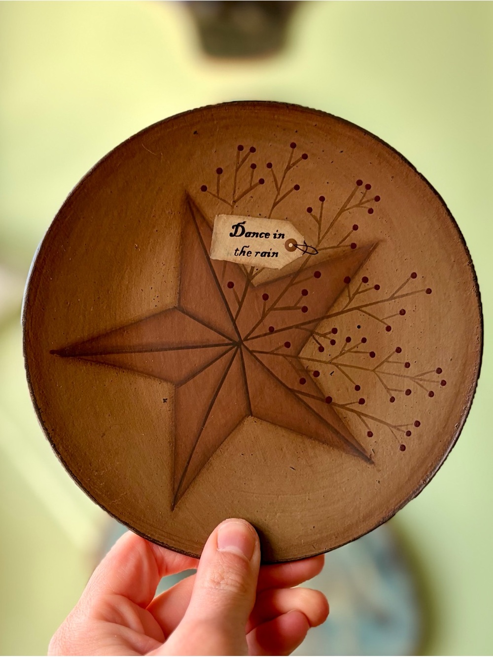 Hand-Painted Brown Star Wall Plate - "Dance in the Rain"